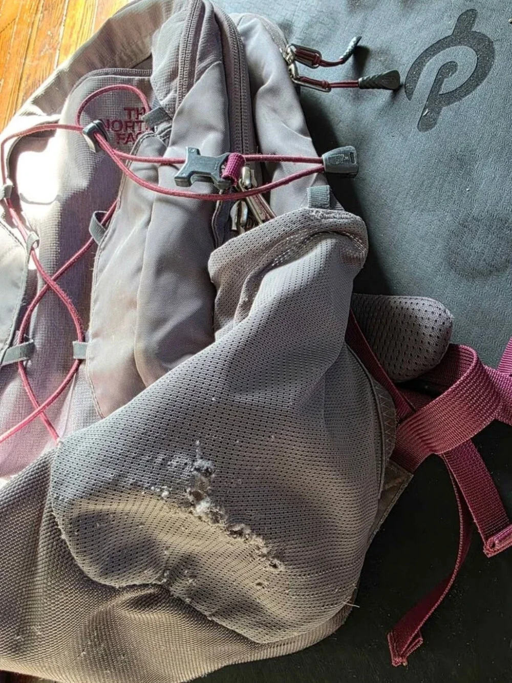 North Face Borealis Backpack